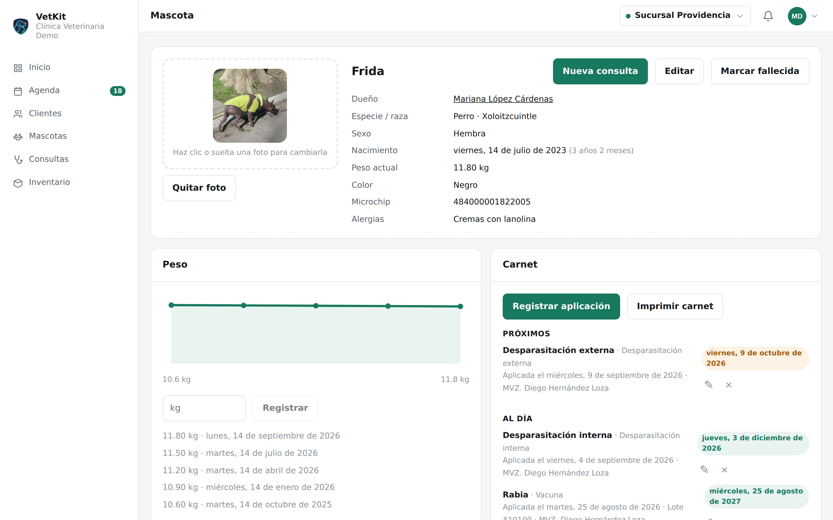 Expediente de una mascota con su historial y su carnet en VetKit